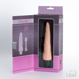 Site Loveshop 75 & sexshop 75 Paris Phallus Gode Vibrant