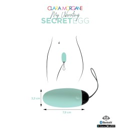 Site Loveshop 75 & sexshop 75 Paris My Vibrating Secret oeuf