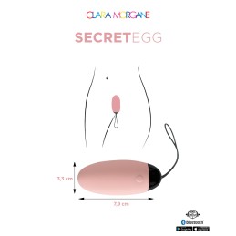 Site Loveshop 75 & sexshop 75 Paris My Vibrating Secret oeuf