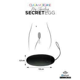 Site Loveshop 75 & sexshop 75 Paris My Vibrating Secret oeuf