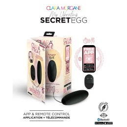 Site Loveshop 75 & sexshop 75 Paris My Vibrating Secret oeuf