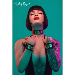 Collier noir plaque dorée & Laisse mousqueton doré