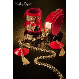 Collier Glossy rouge & Laisse mousqueton doré